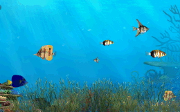 salvapantallas Fantastic Ocean 3D